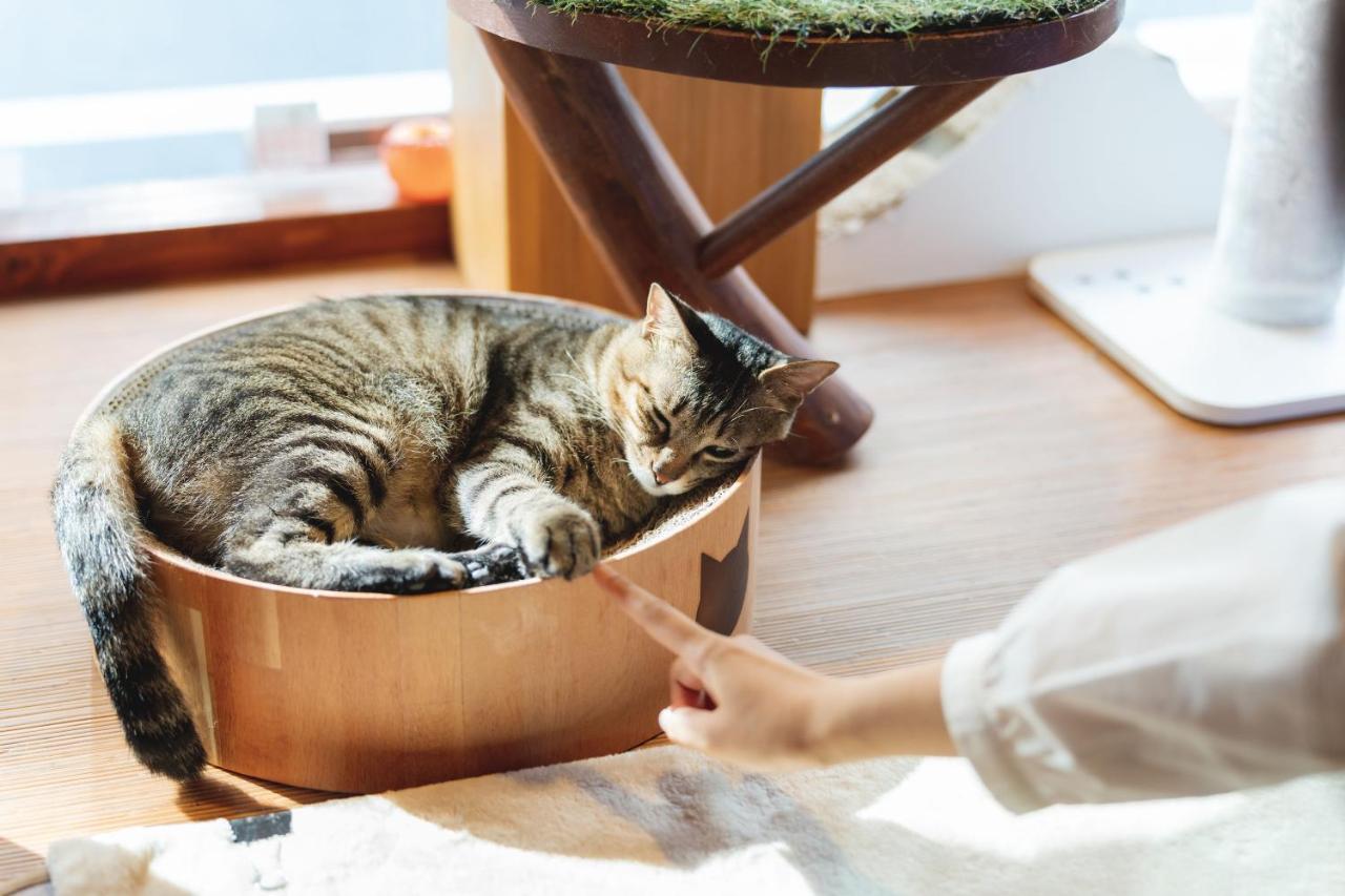 Cat Spa & Cat Ryokan By Neco Republic Osaka Exterior photo